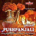 Pushpanjali - Bijender Chauhan Song Download